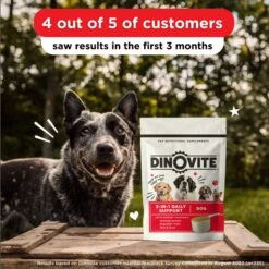 Dinovite Large Dog Supplement, 84.64-oz Box -Pet Wellness 270740 PT5. AC SS1800 V1677010806