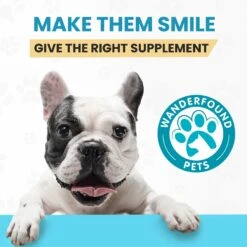 Wanderfound Pets Omega 3-6-9 Skin & Coat Health Smoked Salmon & Liver Flavor Dog Supplement, 120 Count 14 Wanderfound Pets Omega 3-6-9 Skin & Coat Health Smoked Salmon & Liver Flavor Dog Supplement, 120 Count -Pet Wellness 271468 PT6. AC SS1800 V1636473700