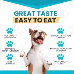 Wanderfound Pets Milk Thistle Liver Support Salmon & Bacon Flavor Dog Supplement, 100 Count 12 Wanderfound Pets Milk Thistle Liver Support Salmon & Bacon Flavor Dog Supplement, 100 Count -Pet Wellness 271470 PT4. AC SS1800 V1636476687