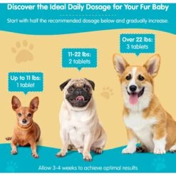 Wanderfound Pets SAMe 100 Liver Support For Dogs -Pet Wellness 271472 PT3. AC SS1800 V1636477281