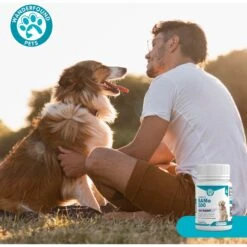 Wanderfound Pets SAMe 100 Liver Support For Dogs -Pet Wellness 271472 PT6. AC SS1800 V1636473703