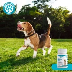 Wanderfound Pets SAMe 100 Liver Support For Dogs -Pet Wellness 271472 PT7. AC SS1800 V1636473707