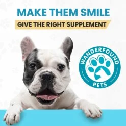 Wanderfound Pets 10-In-1 Multi-vitamin + Glucosamine Liver Flavor Dog Supplement -Pet Wellness 271474 PT6. AC SS1800 V1636473712