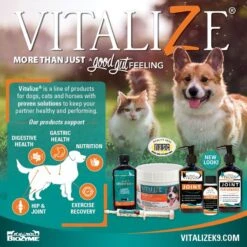 Trixsyn Canine Hyaluronan Dog Joint Support Supplement, 6-oz Bottle -Pet Wellness 271726 PT4. AC SS1800 V1698177578