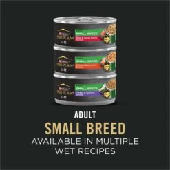 Purina Pro Plan Specialized Shredded Blend Lamb & Rice Formula High Protein Small Breed Dry Dog Food, 18-lb Bag 16 Purina Pro Plan Specialized Shredded Blend Lamb & Rice Formula High Protein Small Breed Dry Dog Food, 18-lb Bag -Pet Wellness 272253 PT7. AC SS1800 V1649205145