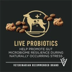 Purina Pro Plan Specialized Shredded Blend Lamb & Rice Formula High Protein Small Breed Dry Dog Food, 18-lb Bag 17 Purina Pro Plan Specialized Shredded Blend Lamb & Rice Formula High Protein Small Breed Dry Dog Food, 18-lb Bag -Pet Wellness 272253 PT8. AC SS1800 V1649220403