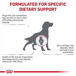 Royal Canin Veterinary Diet Adult Advanced Mobility Support Dry Dog Food -Pet Wellness 275995 PT3. AC SS1800 V1694463361