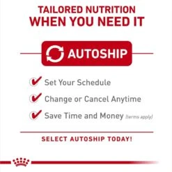 Royal Canin Veterinary Diet Adult Advanced Mobility Support Dry Dog Food -Pet Wellness 275995 PT7. AC SS1800 V1694463422