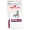 Royal Canin Veterinary Diet Renal Support Early Consult Dry Dog Food