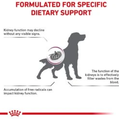 Royal Canin Veterinary Diet Renal Support Early Consult Dry Dog Food -Pet Wellness 275998 PT2. AC SS1800 V1701379766