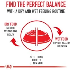 Royal Canin Veterinary Diet Renal Support Early Consult Dry Dog Food -Pet Wellness 275998 PT5. AC SS1800 V1701379766