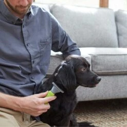 Frisco Soft Slicker Dog Brush, One Size & Frisco Deshedding Dog & Cat Brush 13 Frisco Soft Slicker Dog Brush, One Size & Frisco Deshedding Dog & Cat Brush -Pet Wellness 276229 PT6. AC SS1800 V1616191886