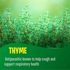 Fur Goodness Sake PawBiotic Dog & Cat Supplement, 2-oz Bottle 15 Fur Goodness Sake PawBiotic Dog & Cat Supplement, 2-oz Bottle -Pet Wellness 276612 PT6. AC SS1800 V1613515900