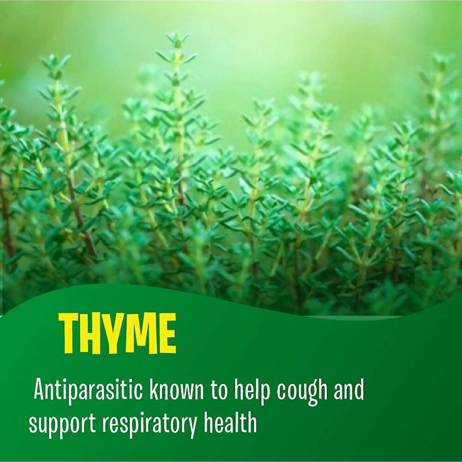 Fur Goodness Sake PawBiotic Dog & Cat Supplement, 2-oz Bottle 7 Fur Goodness Sake PawBiotic Dog & Cat Supplement, 2-oz Bottle - Image 7