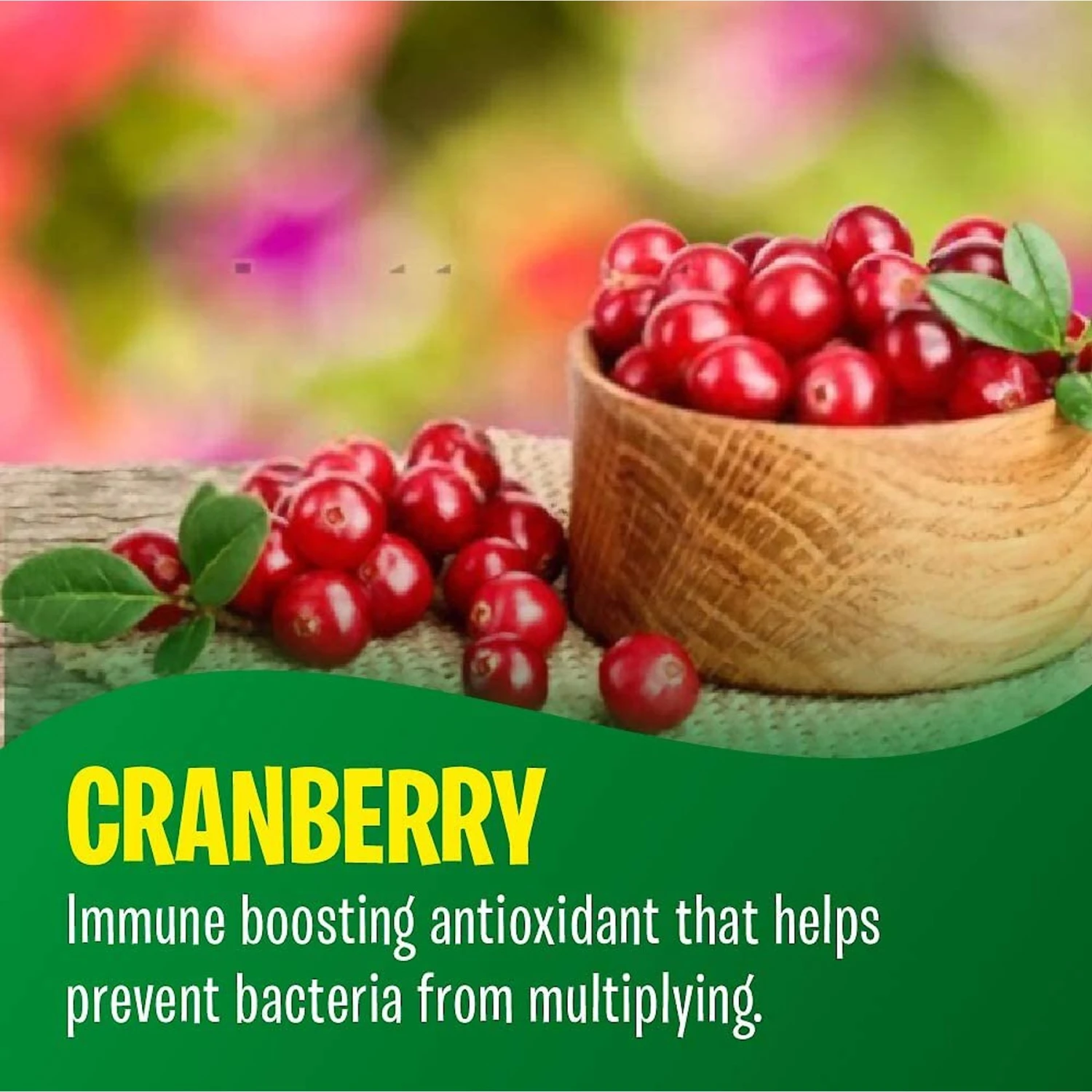 Fur Goodness Sake PawBiotic Dog & Cat Supplement, 2-oz Bottle 8 Fur Goodness Sake PawBiotic Dog & Cat Supplement, 2-oz Bottle - Image 8