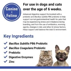 VetClassics Protegrity GI Probiotics Soft Chews Dog & Cat Supplement, 45 Count 14 VetClassics Protegrity GI Probiotics Soft Chews Dog & Cat Supplement, 45 Count -Pet Wellness 277591 PT6. AC SS1800 V1614359248