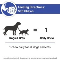 VetClassics Protegrity GI Probiotics Soft Chews Dog & Cat Supplement, 45 Count 15 VetClassics Protegrity GI Probiotics Soft Chews Dog & Cat Supplement, 45 Count -Pet Wellness 277591 PT7. AC SS1800 V1614353514