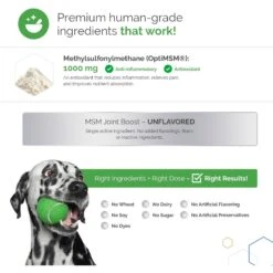 TopDog Health MSM Joint Boost Unflavored Powder Dog Supplement, 1-lb Jar -Pet Wellness 277601 PT4. AC SS1800 V1659791256