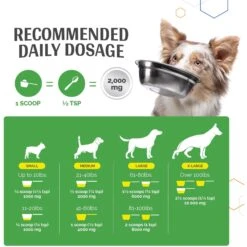 TopDog Health MSM Joint Boost Unflavored Powder Dog Supplement, 1-lb Jar -Pet Wellness 277601 PT5. AC SS1800 V1659791250