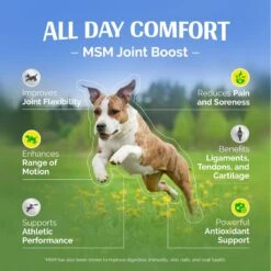 TopDog Health MSM Joint Boost Natural Chicken Flavor Powder Dog Supplement, 1-lb Jar 11 TopDog Health MSM Joint Boost Natural Chicken Flavor Powder Dog Supplement, 1-lb Jar -Pet Wellness 277603 PT6. AC SS1800 V1659791252