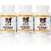 VetSmart Formulas Probiotic Nutrient Enhancer Dog Supplement
