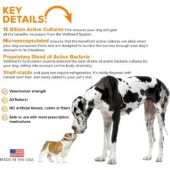 VetSmart Formulas Probiotic Nutrient Enhancer Dog Supplement 9 VetSmart Formulas Probiotic Nutrient Enhancer Dog Supplement -Pet Wellness 277683 PT2. AC SS1800 V1652829392