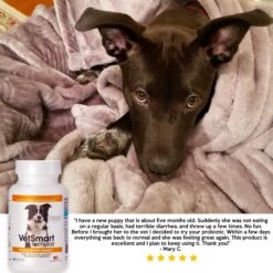 VetSmart Formulas Probiotic Nutrient Enhancer Dog Supplement 12 VetSmart Formulas Probiotic Nutrient Enhancer Dog Supplement -Pet Wellness 277683 PT7. AC SS1800 V1652829105