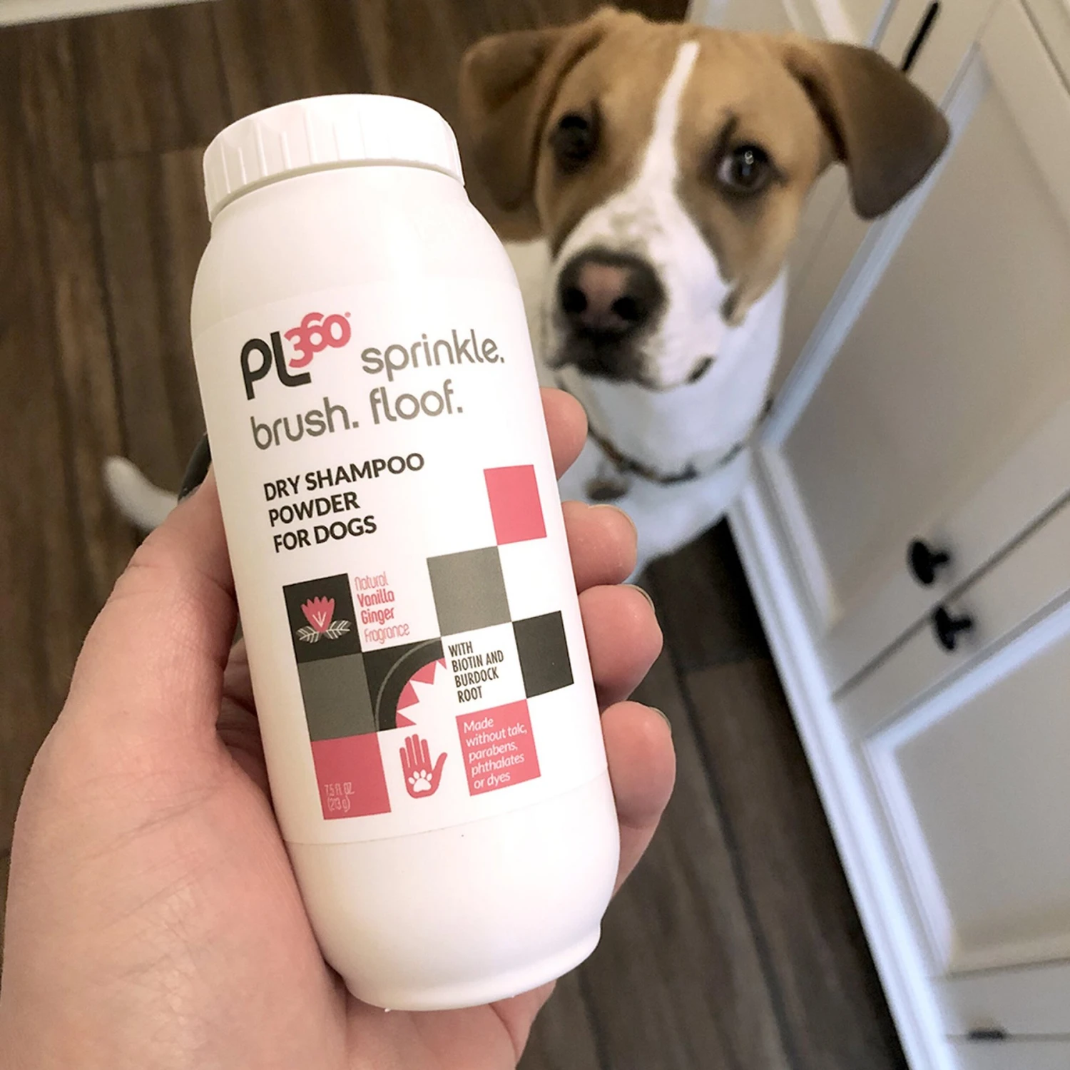 PL360 Sprinkle. Brush. Floof. Natural Vanilla Ginger Fragrance Dry Dog Shampoo, 6-oz Bottle 4 PL360 Sprinkle. Brush. Floof. Natural Vanilla Ginger Fragrance Dry Dog Shampoo, 6-oz Bottle - Image 4