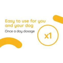 OZLOO Small/Medium Breed Digestive Health Probiotic Dog Supplement, 60 Count 12 OZLOO Small/Medium Breed Digestive Health Probiotic Dog Supplement, 60 Count -Pet Wellness 278765 PT3. AC SS1800 V1628185274