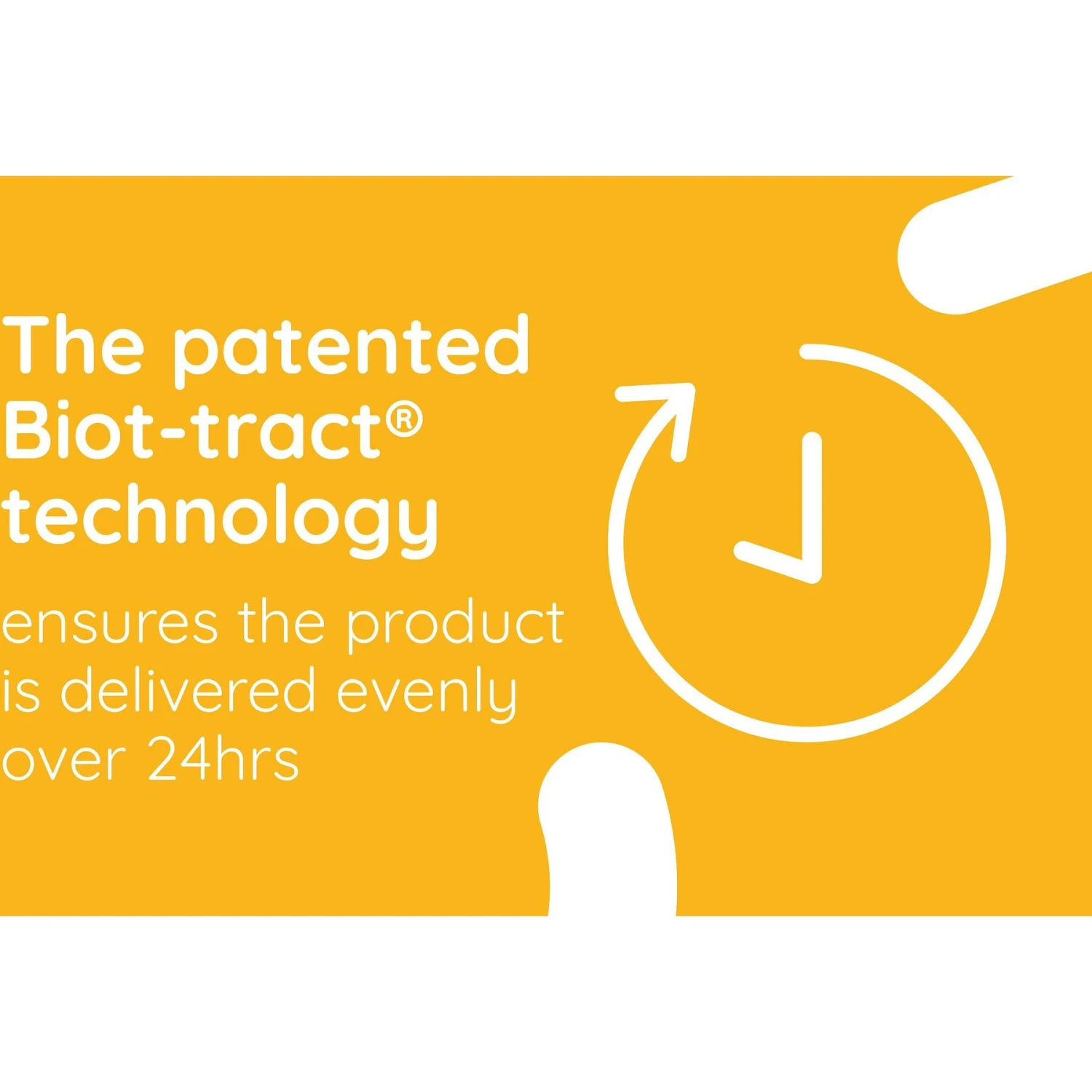 OZLOO Small/Medium Breed Digestive Health Probiotic Dog Supplement, 60 Count 5 OZLOO Small/Medium Breed Digestive Health Probiotic Dog Supplement, 60 Count - Image 5