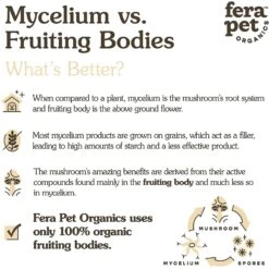 Fera Pet Organics Mushroom Immune Support Dog & Cat Supplement 14 Fera Pet Organics Mushroom Immune Support Dog & Cat Supplement -Pet Wellness 279118 PT6. AC SS1800 V1616016434