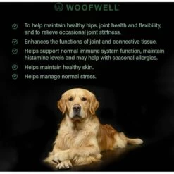 WoofWell Golden Retrievers Health Support Bacon Flavored Soft Chews Dog Supplement, 60 Count -Pet Wellness 279263 PT4. AC SS1800 V1615243973
