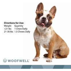 WoofWell French Bulldog Health Support Bacon Flavored Soft Chews Dog Supplement, 30 Count -Pet Wellness 279265 PT8. AC SS1800 V1615243089