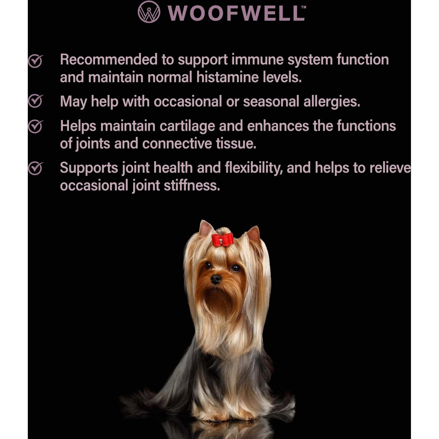 WoofWell Yorkshire Terriers Health Support Bacon Flavored Soft Chews Dog Supplement, 30 Count 5 WoofWell Yorkshire Terriers Health Support Bacon Flavored Soft Chews Dog Supplement, 30 Count - Image 5