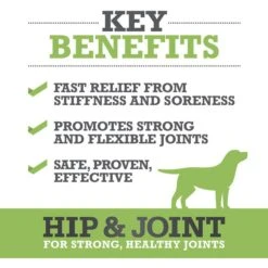 WINPRO Pet Hip & Joint Soft Chews Dog Supplement -Pet Wellness 279474 PT2. AC SS1800 V1658848383