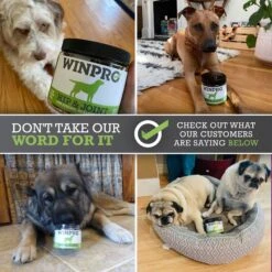 WINPRO Pet Hip & Joint Soft Chews Dog Supplement -Pet Wellness 279474 PT8. AC SS1800 V1659567411