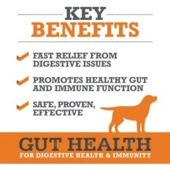 WINPRO Pet Gut Health Soft Chew Dog Supplement -Pet Wellness 279475 PT2. AC SS1800 V1659567412