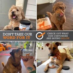 WINPRO Pet Gut Health Soft Chew Dog Supplement -Pet Wellness 279475 PT8. AC SS1800 V1659567470