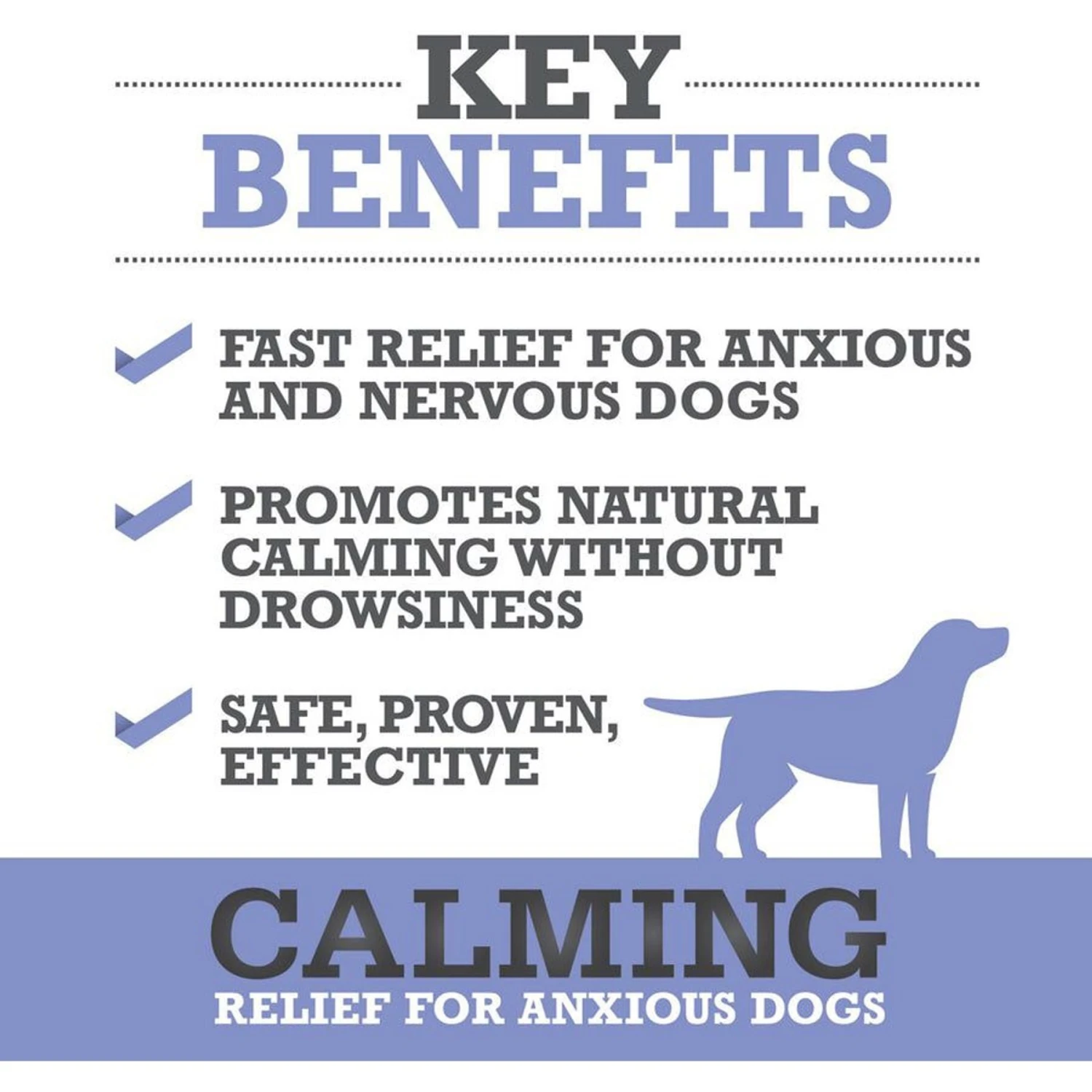 WINPRO Pet Calming Soft Chew Dog Supplement 3 WINPRO Pet Calming Soft Chew Dog Supplement - Image 3