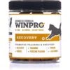 WINPRO Pet Recovery Soft Chew Dog Supplement