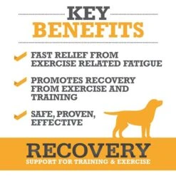 WINPRO Pet Recovery Soft Chew Dog Supplement -Pet Wellness 279477 PT2. AC SS1800 V1658845404