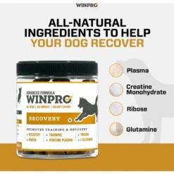WINPRO Pet Recovery Soft Chew Dog Supplement -Pet Wellness 279477 PT3. AC SS1800 V1659567349