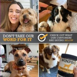 WINPRO Pet Recovery Soft Chew Dog Supplement -Pet Wellness 279477 PT8. AC SS1800 V1658845928