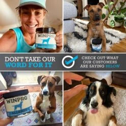 WINPRO Pet Allergy Soft Chew Dog Supplement -Pet Wellness 279478 PT8. AC SS1800 V1659567350