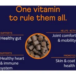 Finn Multi Vitamin Dog Supplement, 90 Count -Pet Wellness 279854 PT3. AC SS1800 V1666299587