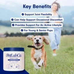 PetLab Co. Joint Care Pork Flavor Dog Supplement, 30 Count -Pet Wellness 279959 PT2. AC SS1800 V1684611759