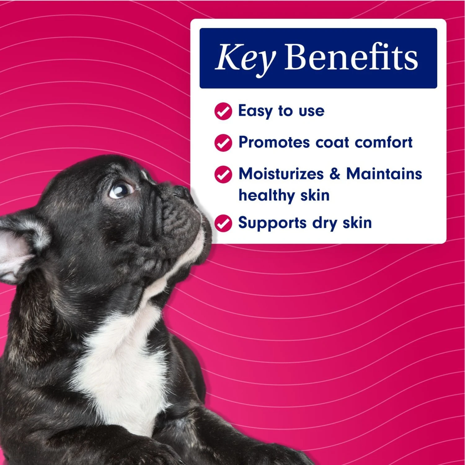 PetLab Co. Targeted Skin & Coat Mousse, 7-oz Bottle 3 PetLab Co. Targeted Skin & Coat Mousse, 7-oz Bottle - Image 3