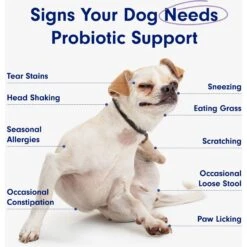 PetLab Co. Probiotic Pork Flavored Soft Chews Digestive Supplement For Dogs, 30 Count -Pet Wellness 279984 PT2. AC SS1800 V1684524763