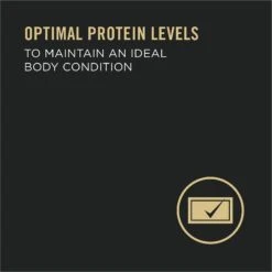 Purina Pro Plan Adult 7+ Complete Essentials Chicken & Rice Entree Wet Dog Food, 13-oz Can, Case Of 12 11 Purina Pro Plan Adult 7+ Complete Essentials Chicken & Rice Entree Wet Dog Food, 13-oz Can, Case Of 12 -Pet Wellness 280295 PT3. AC SS1800 V1615844215
