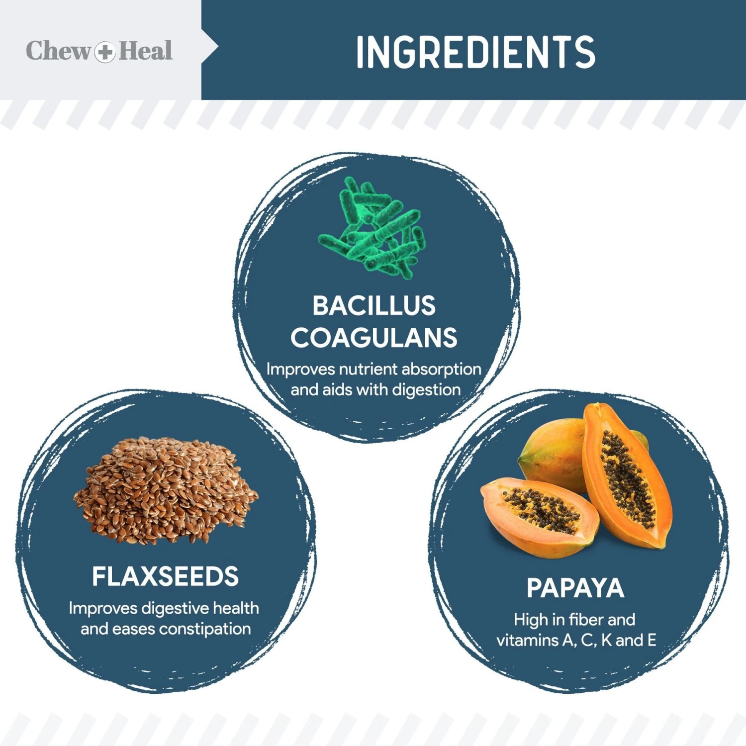 Chew + Heal Digestive Enzymes & Probiotics Supplement For Dogs 2 Chew + Heal Digestive Enzymes & Probiotics Supplement For Dogs - Image 2